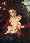 Peter Paul Rubens Virgin and Child oil painting reproduction